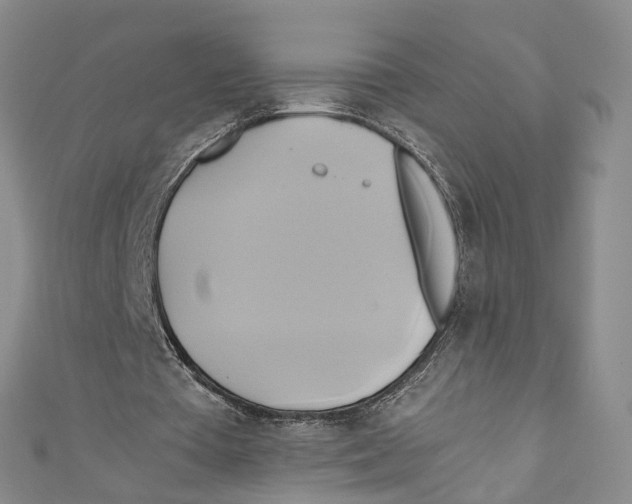 X0000110970385200907171715