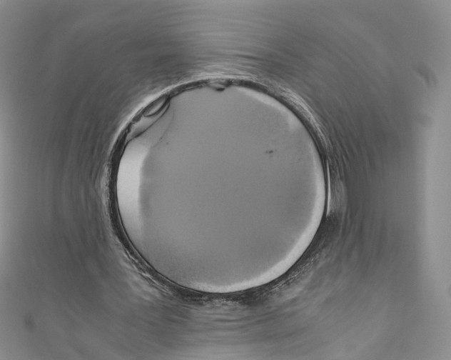 X0000110970387200907171715