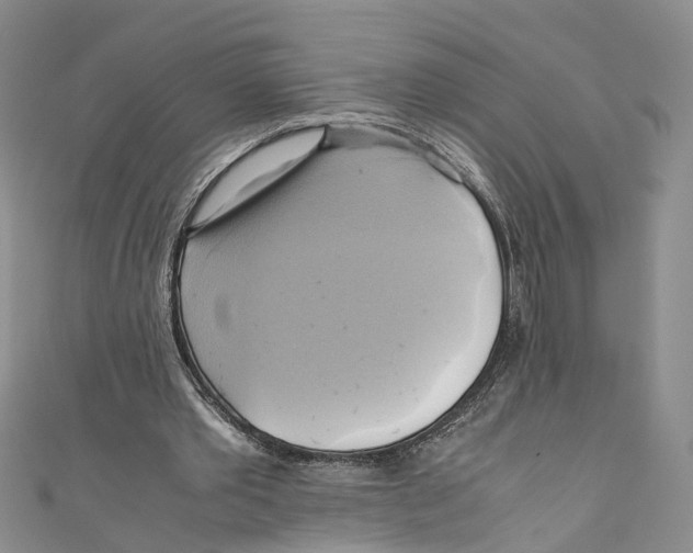 X0000110970389200907171715