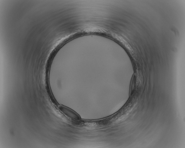 X0000110970391200907171715