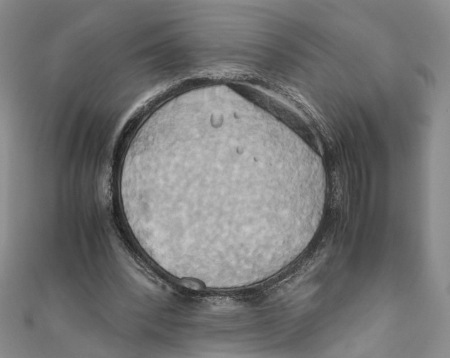X0000110970392200907171715