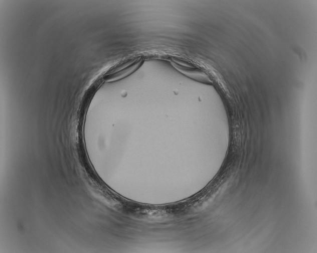 X0000110970395200907171715