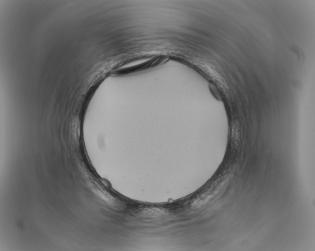 X0000110970397200907171715