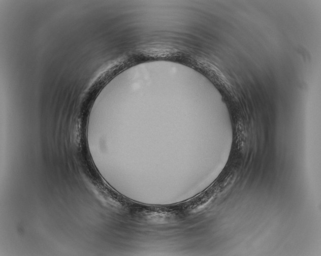 X0000110970400200907171715