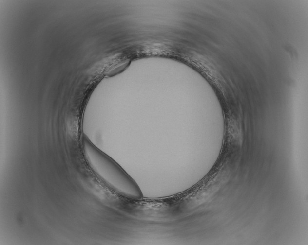 X0000110970401200907171715