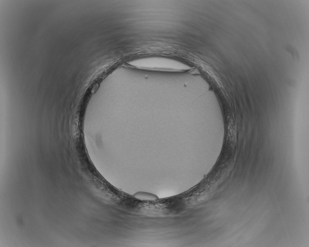 X0000110970403200907171715