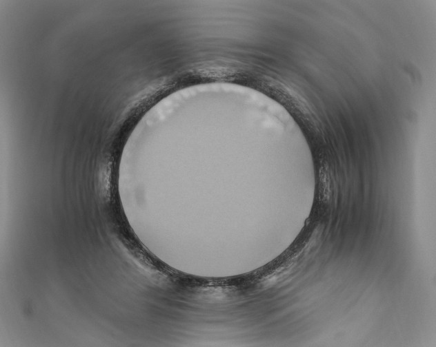 X0000110970404200907171715