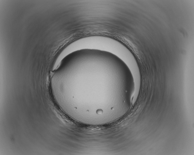 X0000110970405200907171715