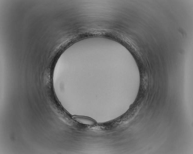 X0000110970407200907171715