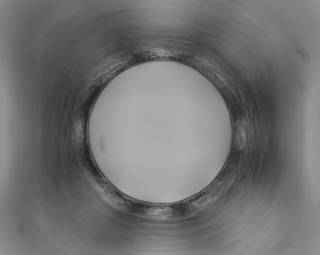 X0000110970410200907171715