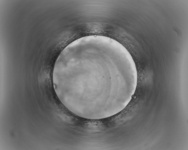 X0000110970415200907171715