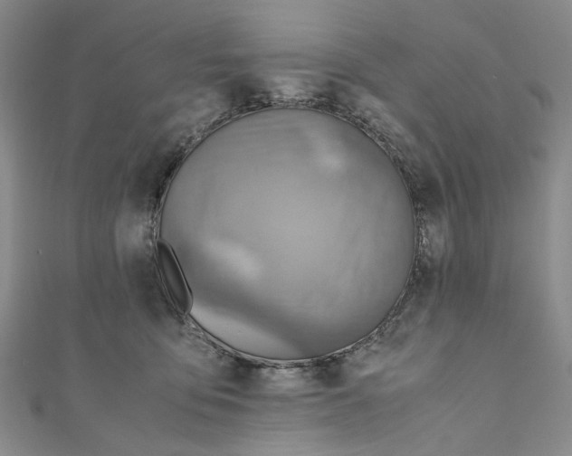 X0000110970419200907171715