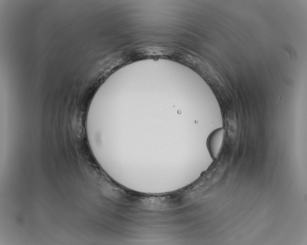 X0000110970422200907171715