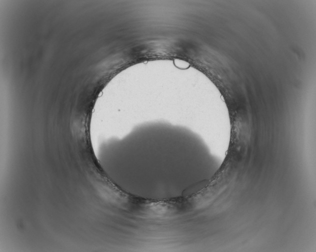 X0000110970423200907171715