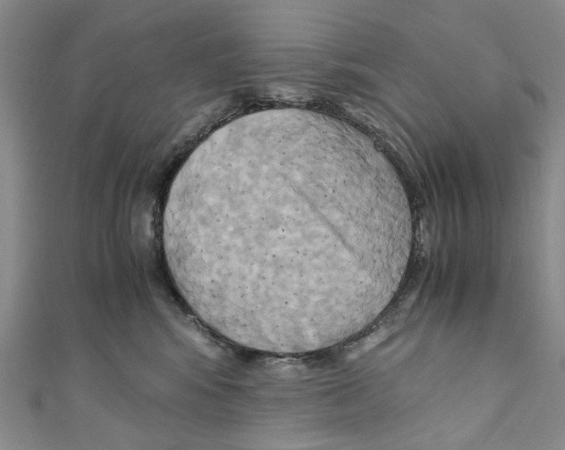 X0000110970424200907171715