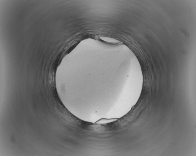 X0000110970425200907171715