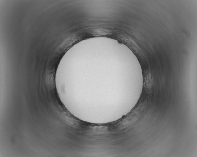 X0000110970426200907171715