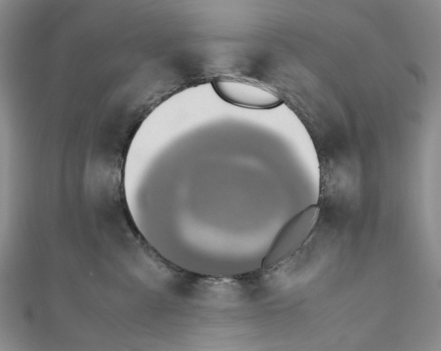 X0000110970427200907171715