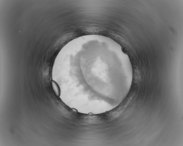 X0000110970428200907171715