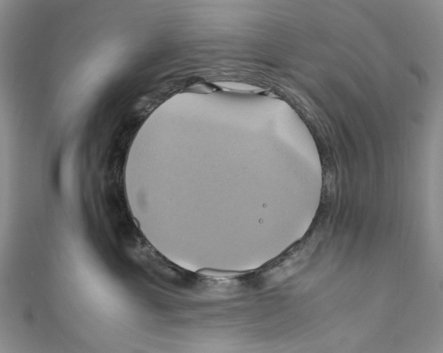 X0000110970429200907171715