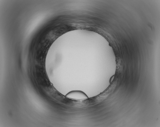 X0000110970430200907171715
