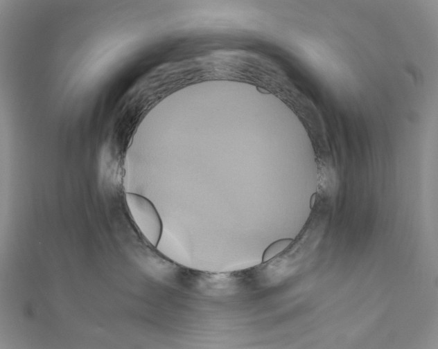 X0000110970431200907171715