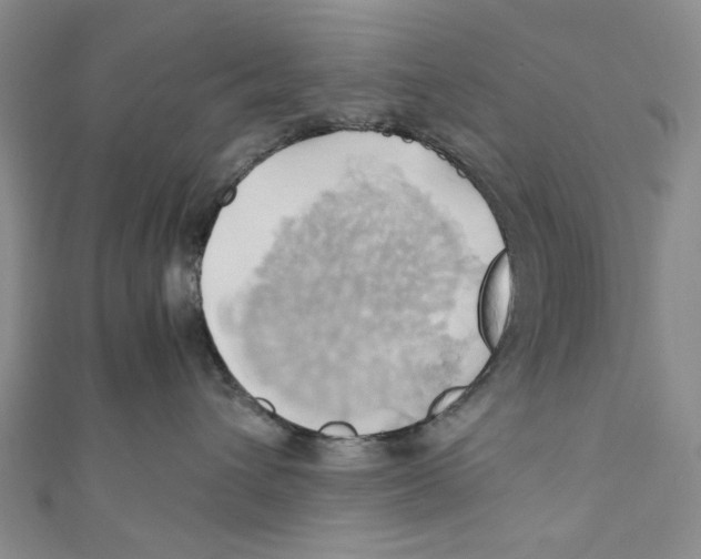 X0000110970432200907171715