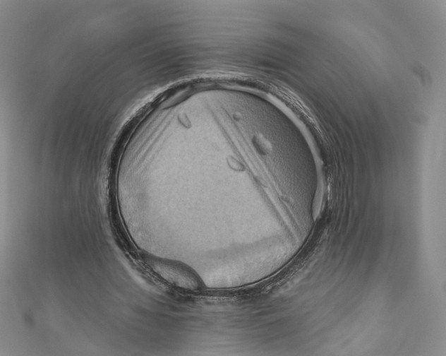 X0000110970436200907171714