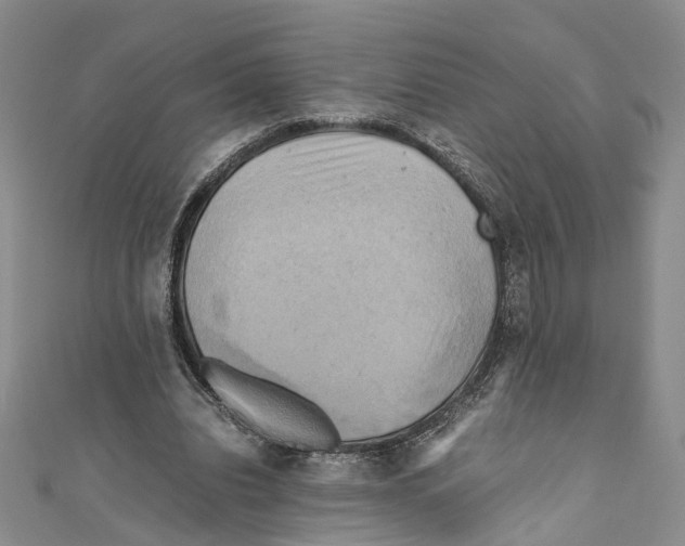 X0000110970440200907171714