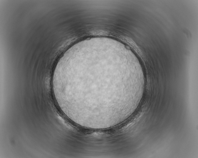 X0000110970441200907171714