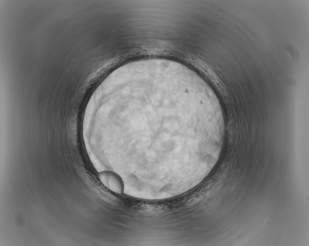 X0000110970442200907171714