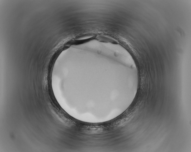 X0000110970443200907171714