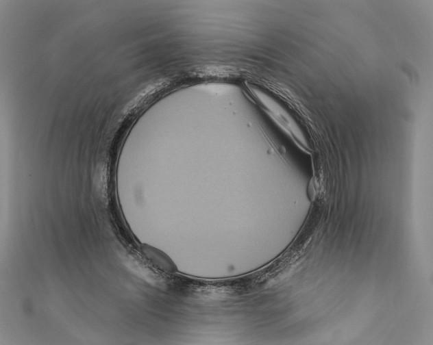 X0000110970444200907171714