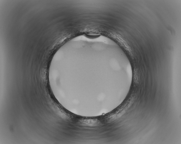 X0000110970449200907171714