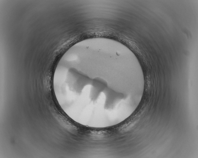 X0000110970450200907171714