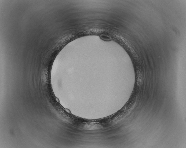 X0000110970451200907171714