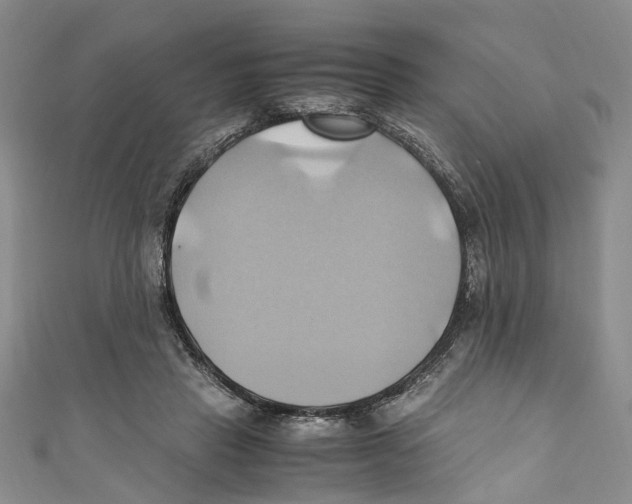 X0000110970453200907171714