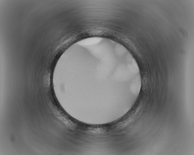 X0000110970454200907171714