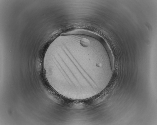 X0000110970456200907171714