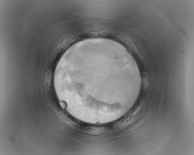 X0000110970458200907171714
