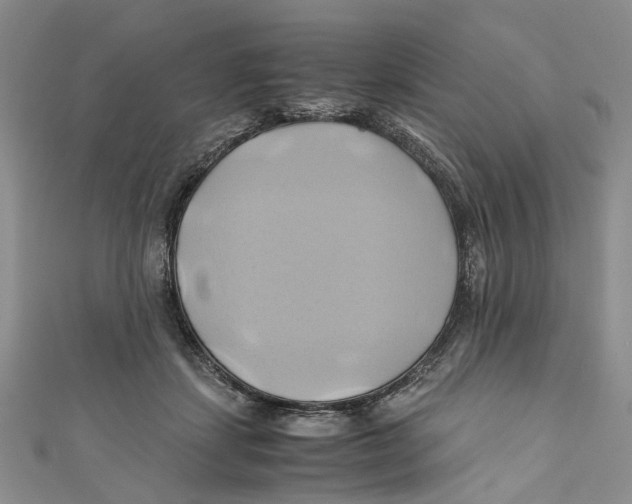 X0000110970459200907171714