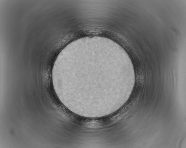 X0000110970460200907171714
