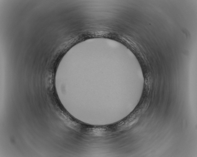 X0000110970462200907171714