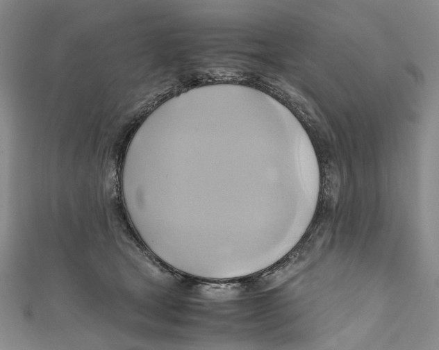 X0000110970465200907171714