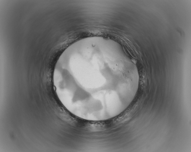 X0000110970466200907171714