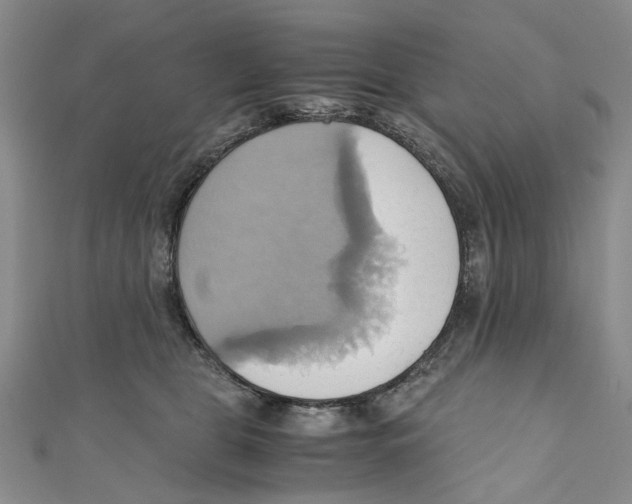 X0000110970469200907171715