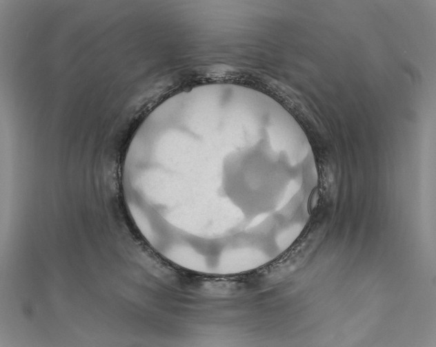 X0000110970470200907171715