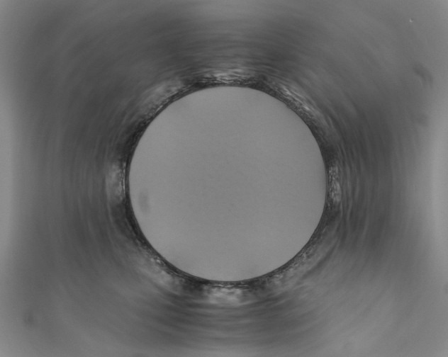 X0000110970471200907171715