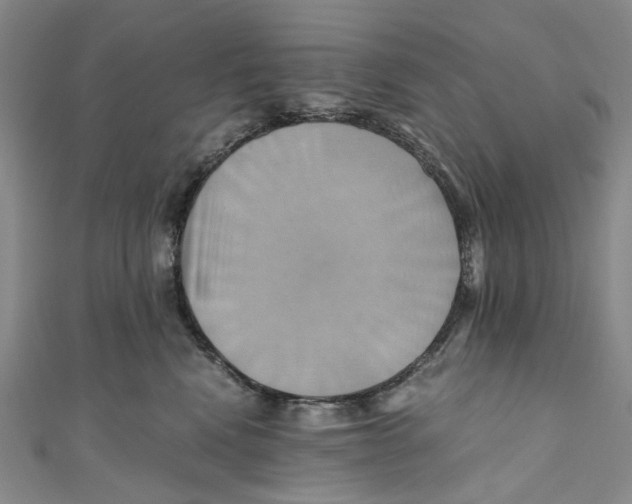 X0000110970472200907171715