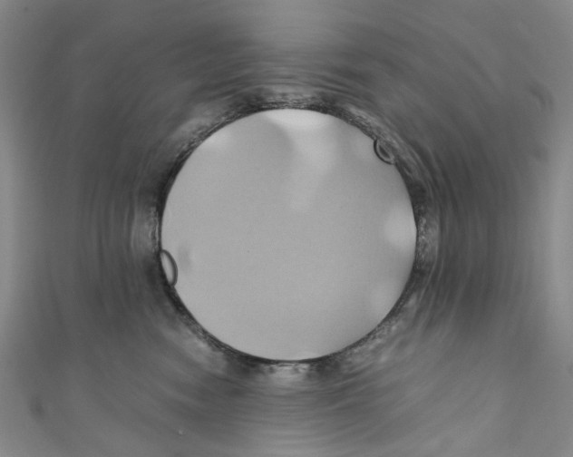 X0000110970474200907171715
